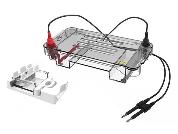 UEP-HEC01 Horizontal Electrophoresis Cell