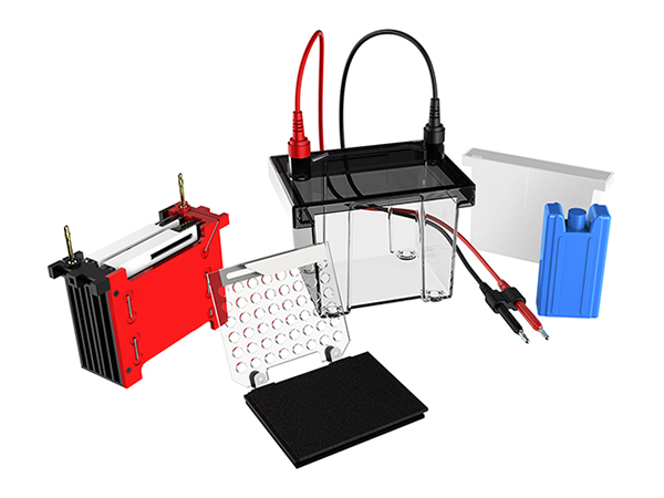 UEP-TEC02 Transfer Electrophoresis Cell