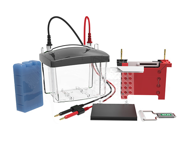 UEP-TEC03 Transfer Electrophoresis Cell