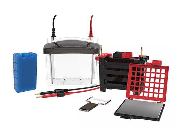 UEP-TEC04 Transfer Electrophoresis Cell