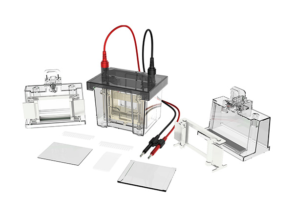 UEP-VEC-MINI01 Vertical Electrophoresis Cell