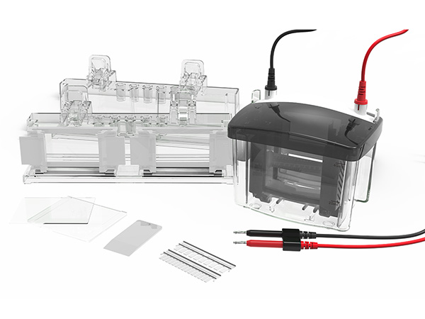 Ultrassay UEP-VEC-Mini04 4-gel Electrophoresis Cell with cam-lock frame.